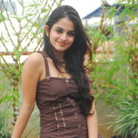 Actress Sheena Shahabadi latest Photos | Picture 46649